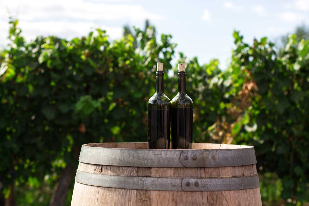 rodrigo-abreu-unsplash-vin-italien