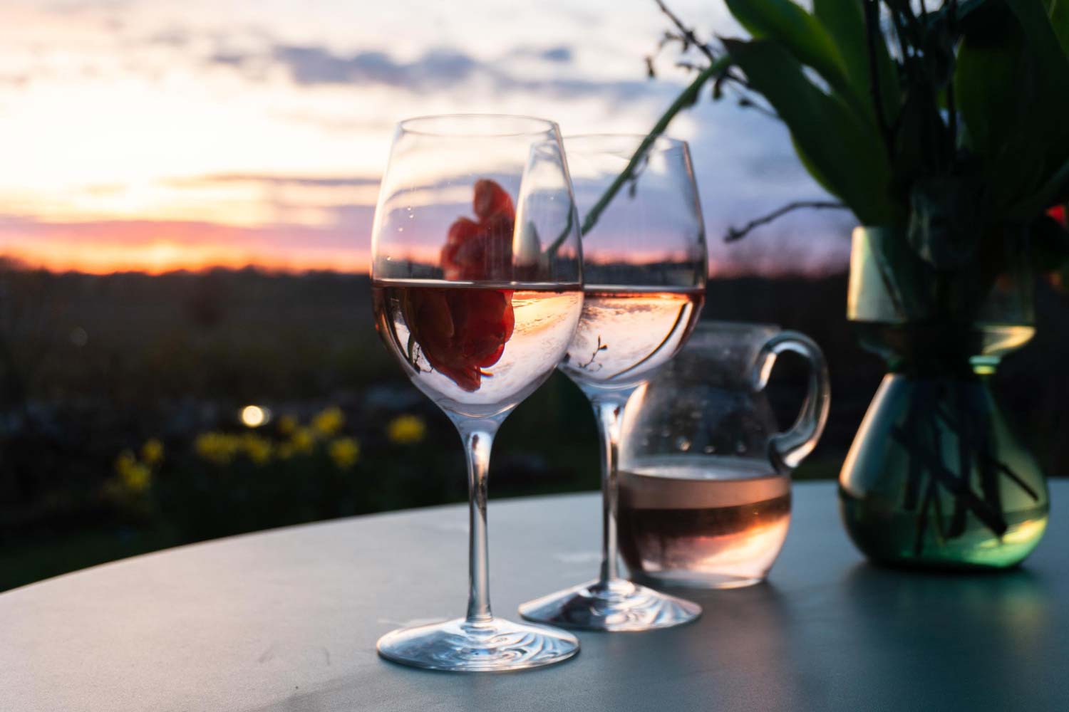 10 bästa rosevinerna