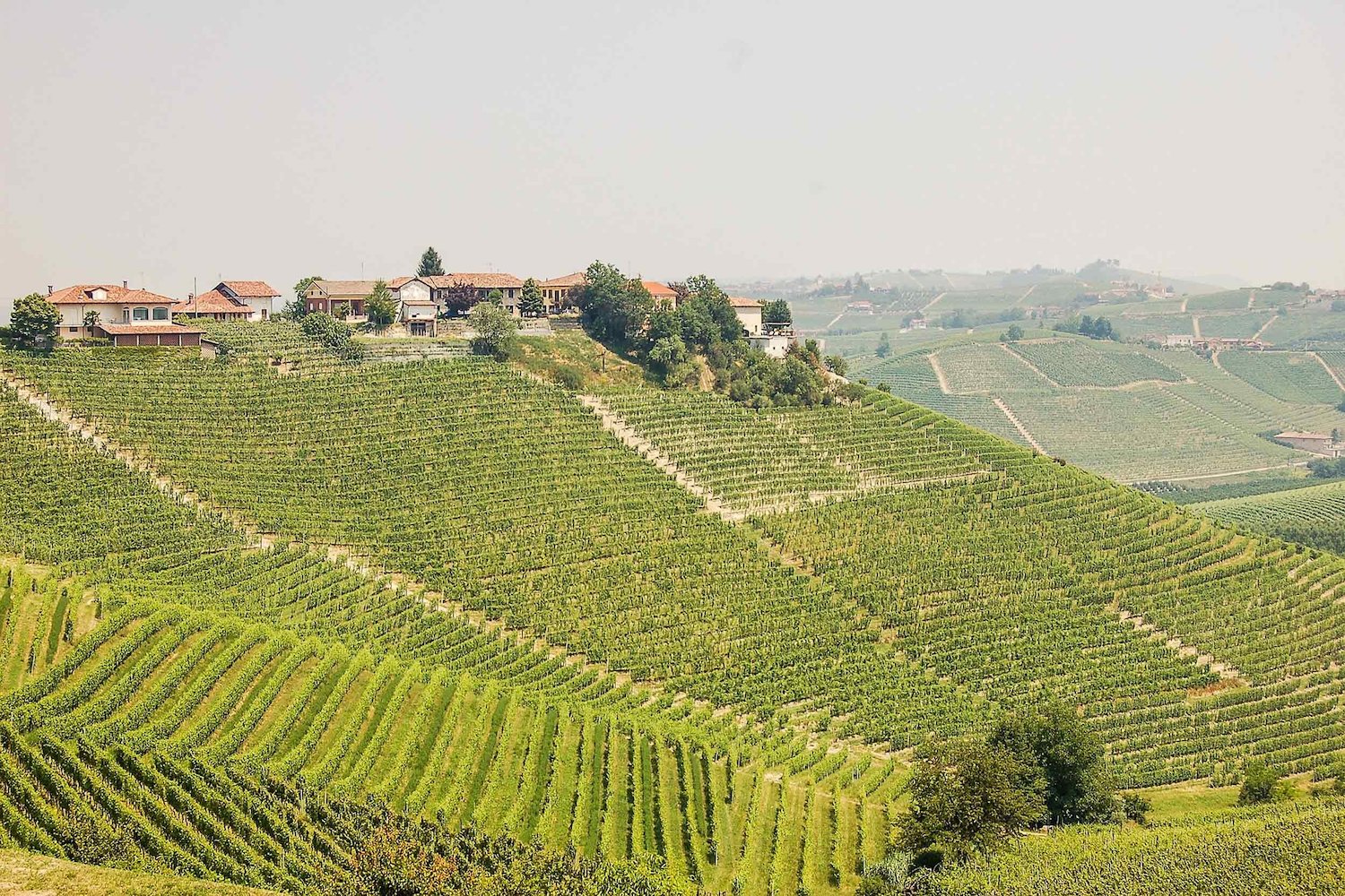 Piemonte