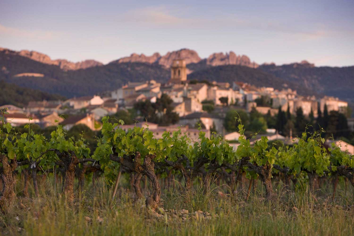 cotes-du-rhone-vin