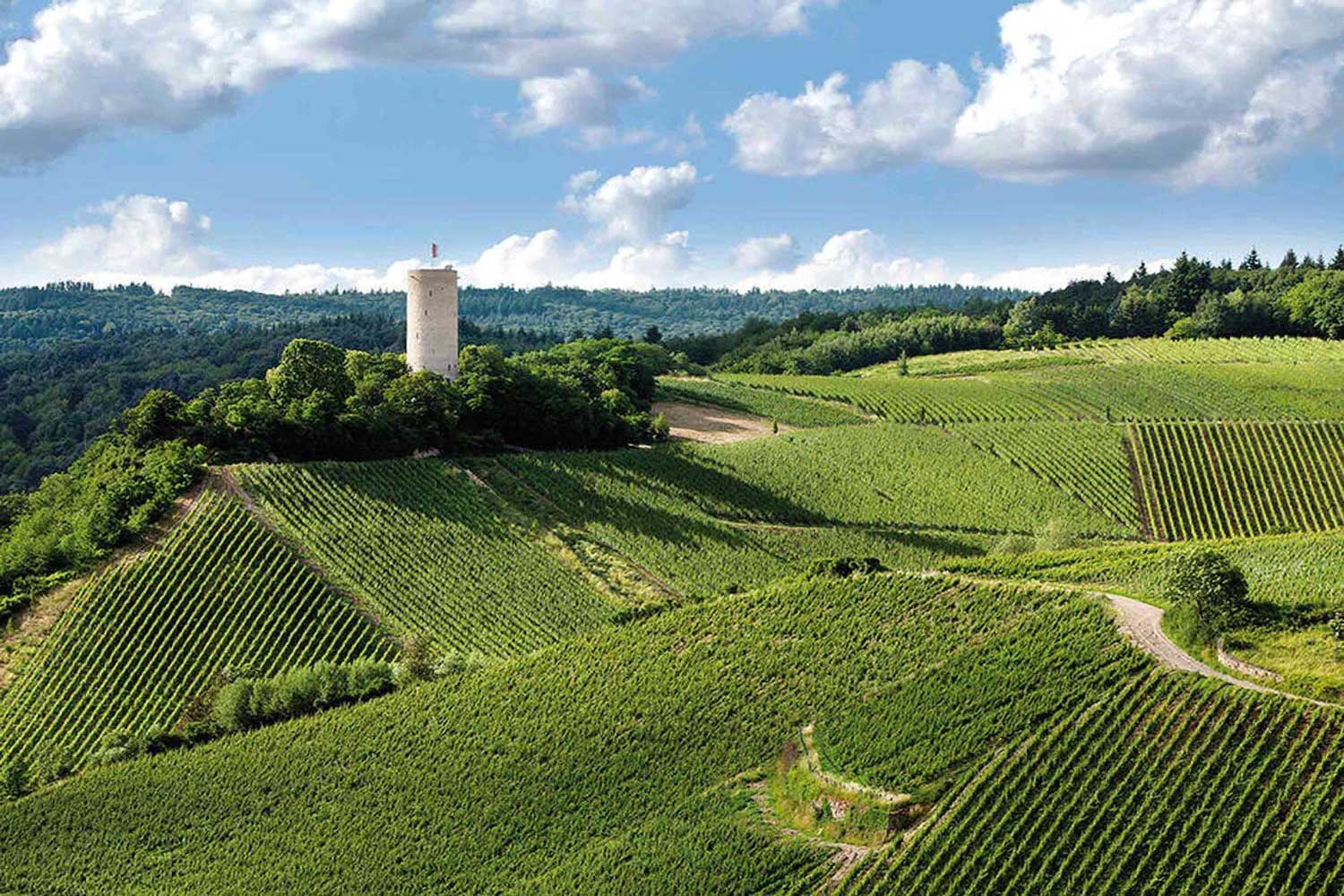 weingut_robert_tumbergpg