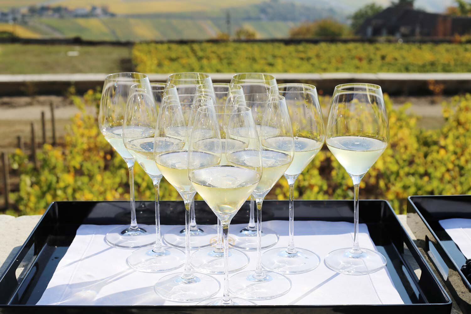 champagne-i-champagne