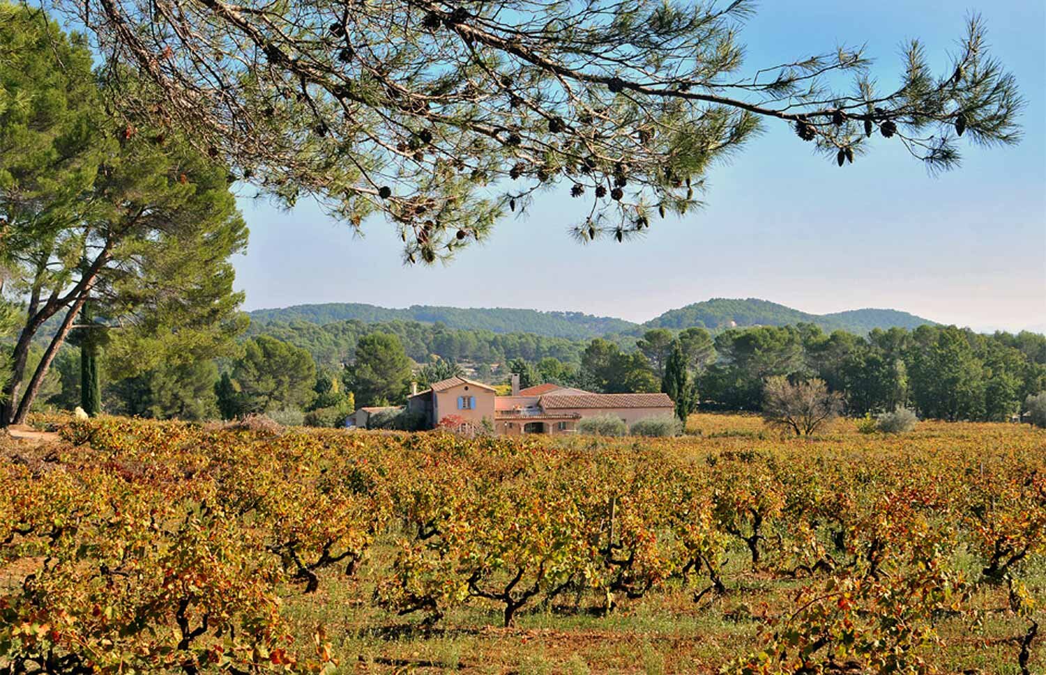 robiega-domaine