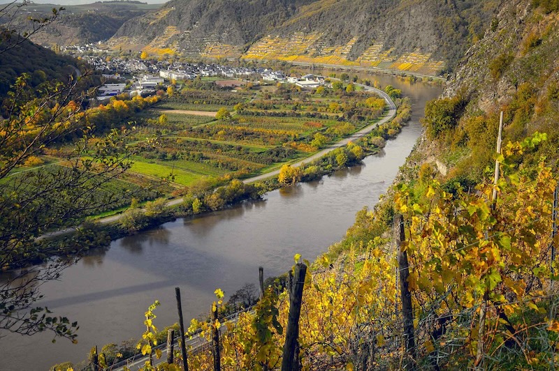 vineyards-tyskland